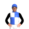 Jockey Silk