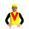 Jockey Silk