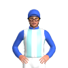Jockey Silk
