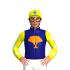 Jockey Silk