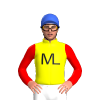 Jockey Silk