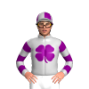 Jockey Silk