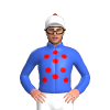 Jockey Silk