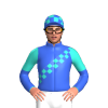 Jockey Silk
