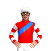 Jockey Silk