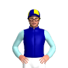 Jockey Silk