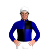 Jockey Silk