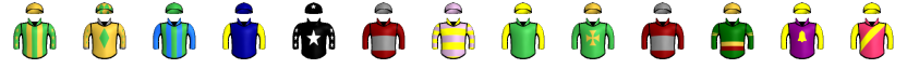 Runner silk