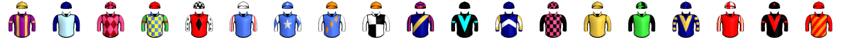 Runner silk