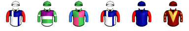 Runner silk