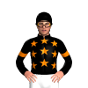 Jockey Silk