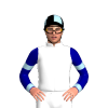 Jockey Silk