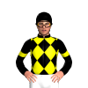 Jockey Silk