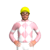 Jockey Silk