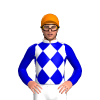 Jockey Silk