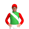 Jockey Silk