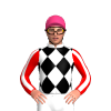 Jockey Silk