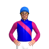Jockey Silk