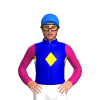 Jockey Silk