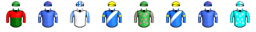 Runner silk