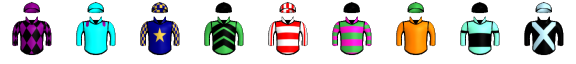 Runner silk