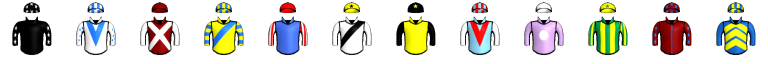 Runner silk