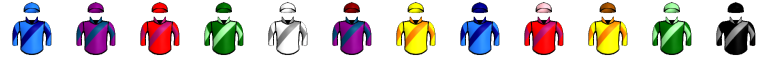Runner silk