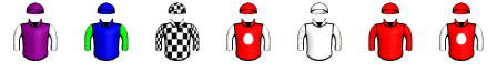 Runner silk