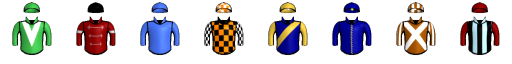 Runner silk