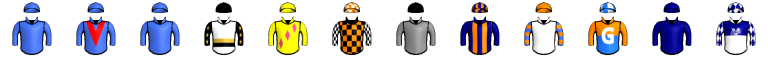 Runner silk