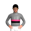 Jockey Silk