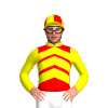 Jockey Silk