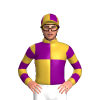 Jockey Silk