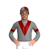 Jockey Silk