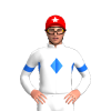Jockey Silk