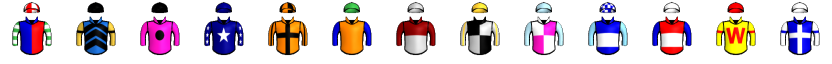 Runner silk