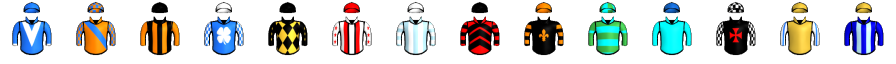 Runner silk