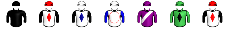 Runner silk