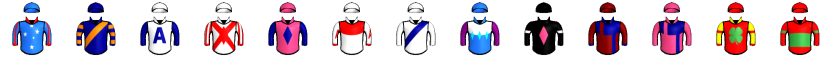 Runner silk