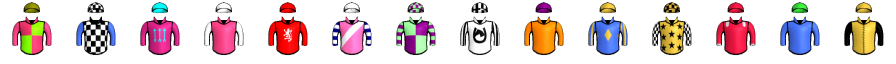 Runner silk