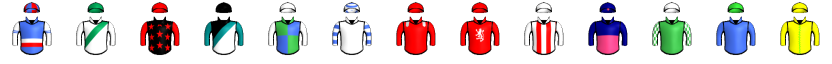 Runner silk