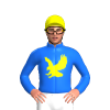 Jockey Silk