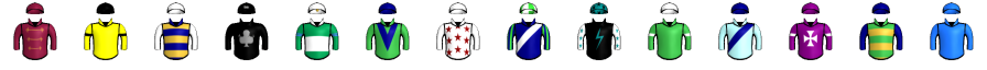 Runner silk