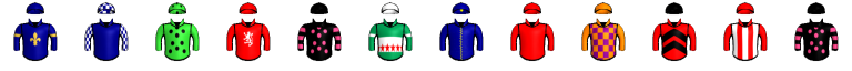 Runner silk
