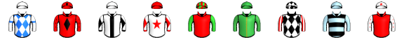Runner silk
