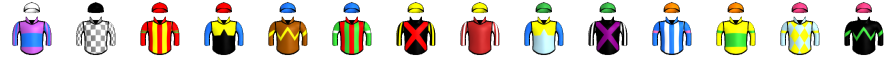 Runner silk