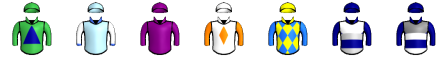 Runner silk