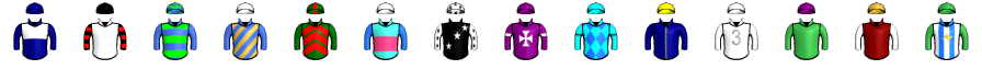 Runner silk