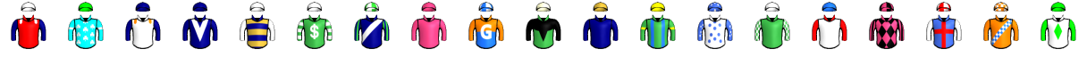 Runner silk
