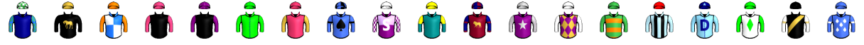 Runner silk